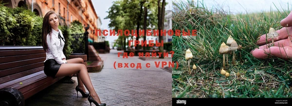 a pvp Алзамай