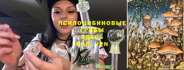 a pvp Алзамай
