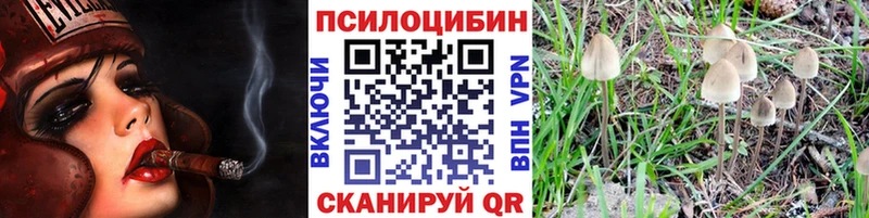 Псилоцибиновые грибы Magic Shrooms  OMG ONION  Кудрово 