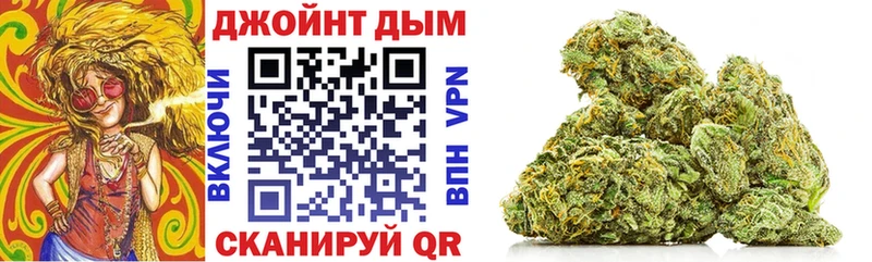 где найти наркотики  Кудрово  Бошки марихуана VHQ 